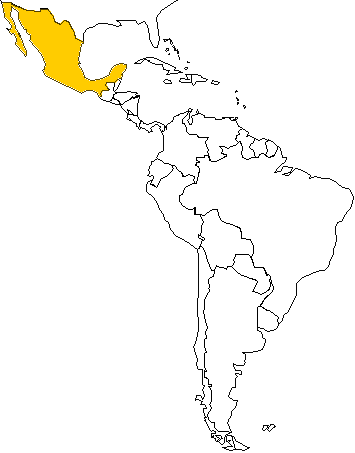 Mexique